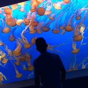 Meet your Posher, Armando